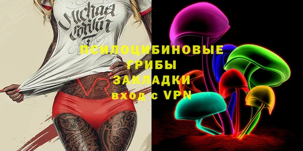 индика Горно-Алтайск