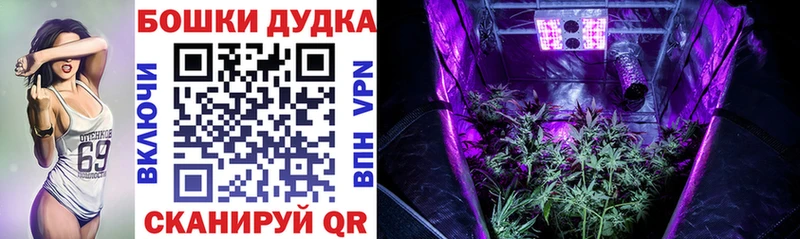 сколько стоит  Гусев  Конопля VHQ 