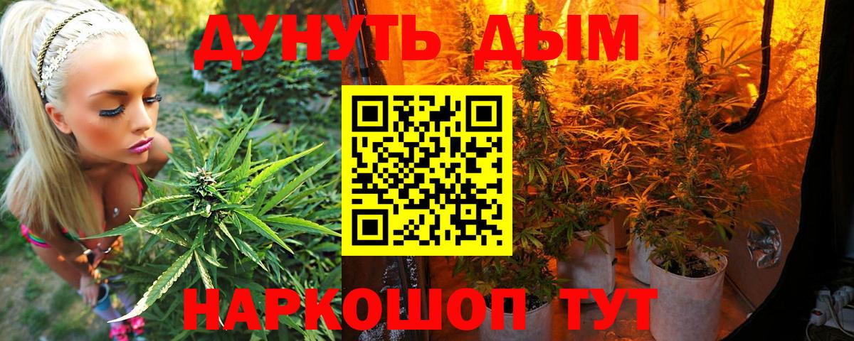 МАРИХУАНА White Widow  Вход с VPN  Канабис планчик  Гусев  Каннабис план  Канабис Amnesia 